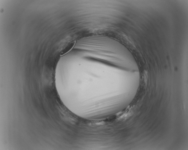 X0000066081012200603311929