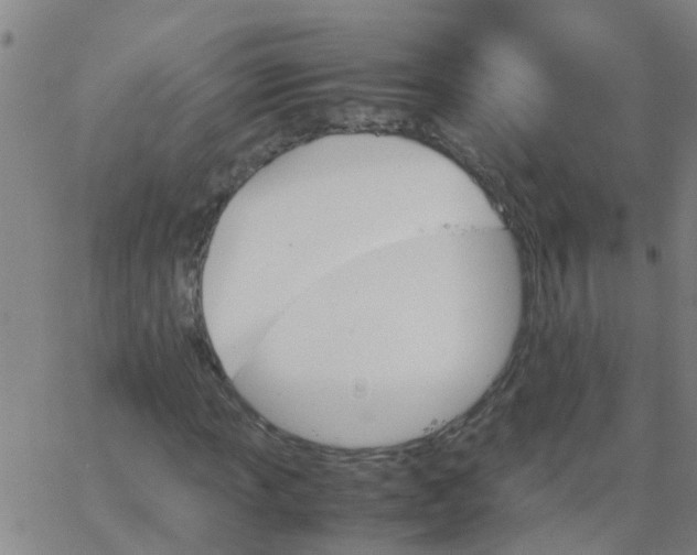 X0000066081013200603311930