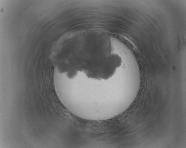 X0000066081015200603311930