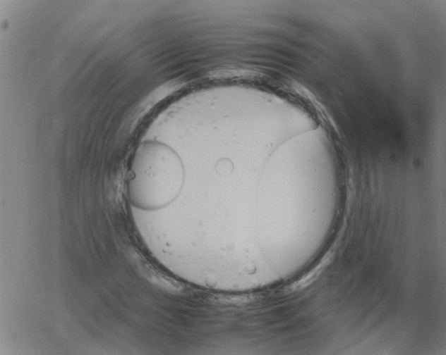 X0000066081017200603311930