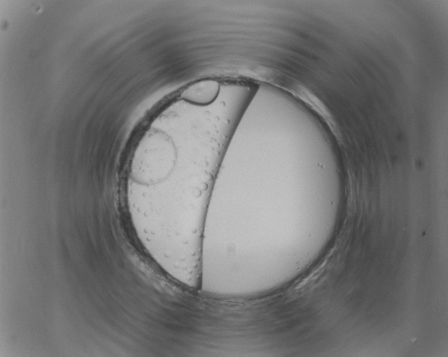 X0000066081020200603311930