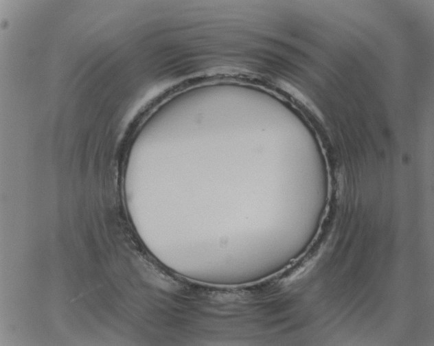 X0000066081021200603311930