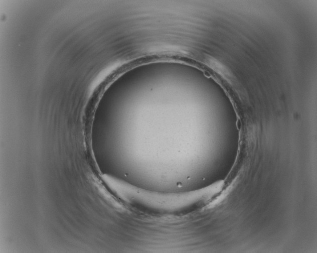 X0000066081022200603311930