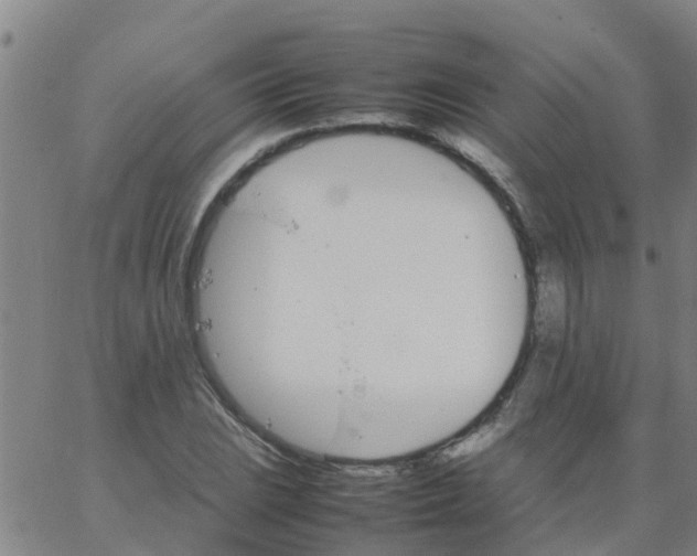 X0000066081023200603311930