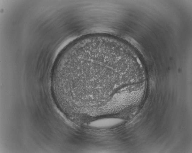 X0000066081024200603311930