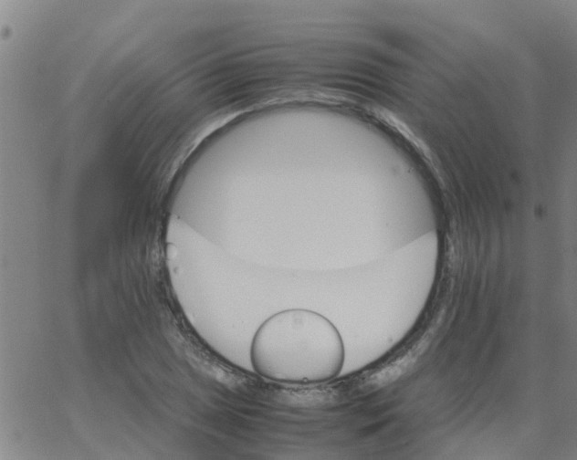 X0000066081025200603311930