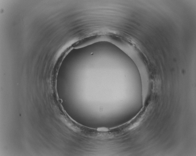 X0000066081026200603311930