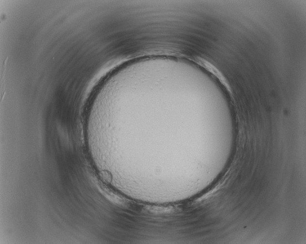 X0000066081027200603311930