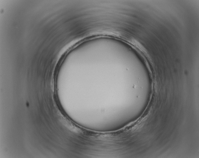 X0000066081028200603311930