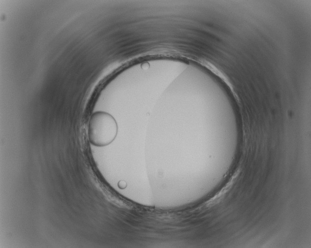 X0000066081029200603311930