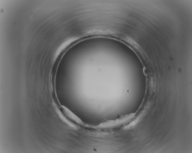 X0000066081030200603311930