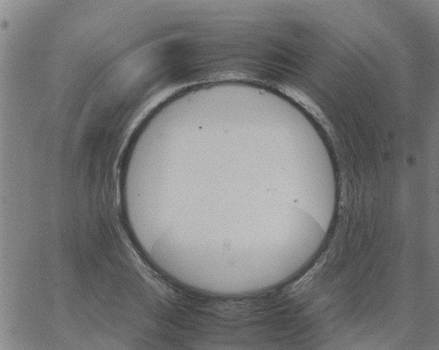 X0000066081031200603311930