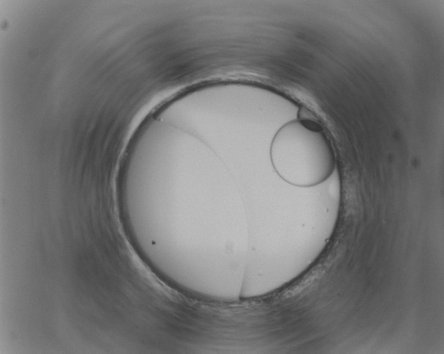 X0000066081032200603311930