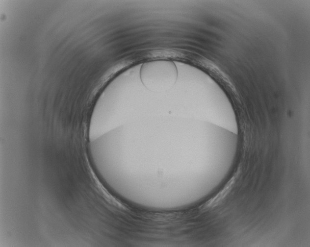 X0000066081033200603311930