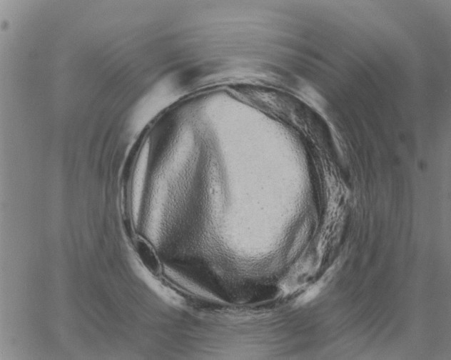 X0000066081034200603311930