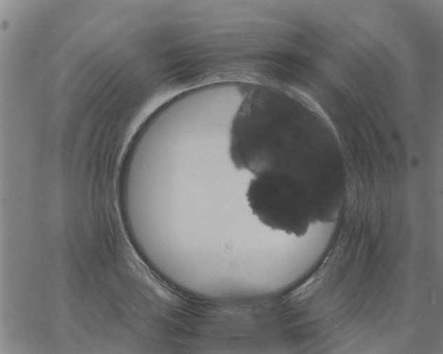 X0000066081035200603311930