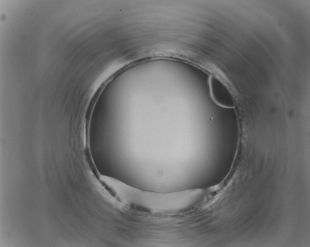 X0000066081036200603311930