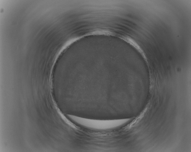 X0000066081037200603311930