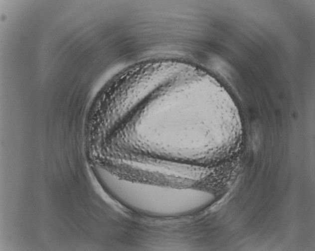 X0000066081038200603311930