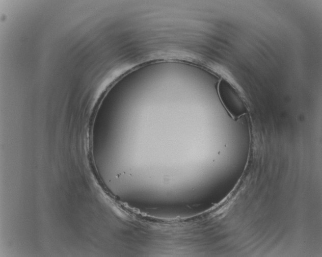 X0000066081040200603311930