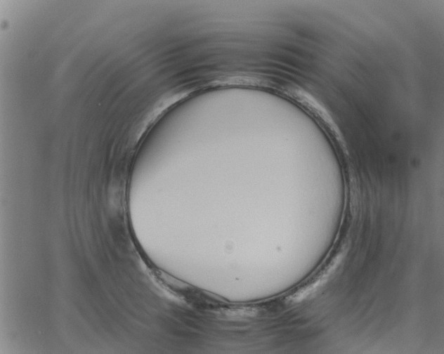 X0000066081041200603311930