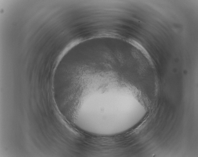 X0000066081043200603311930