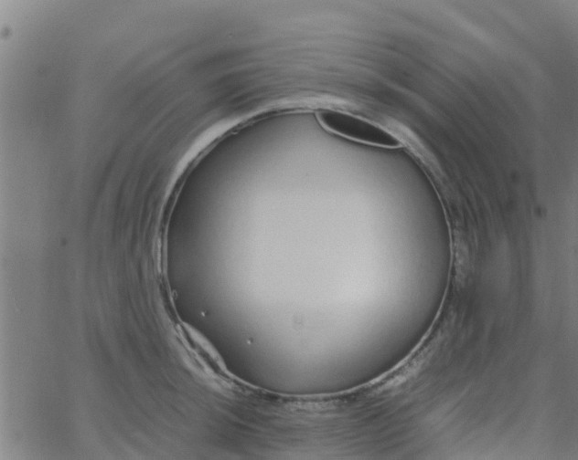 X0000066081044200603311930