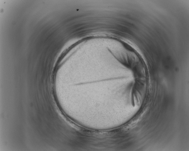 X0000066081045200603311930