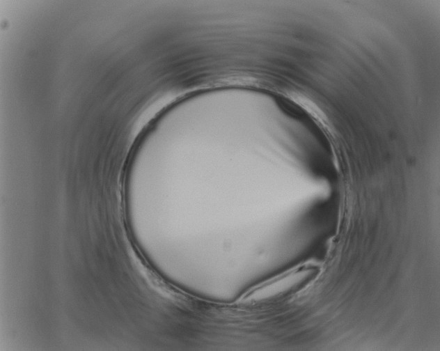 X0000066081047200603311930