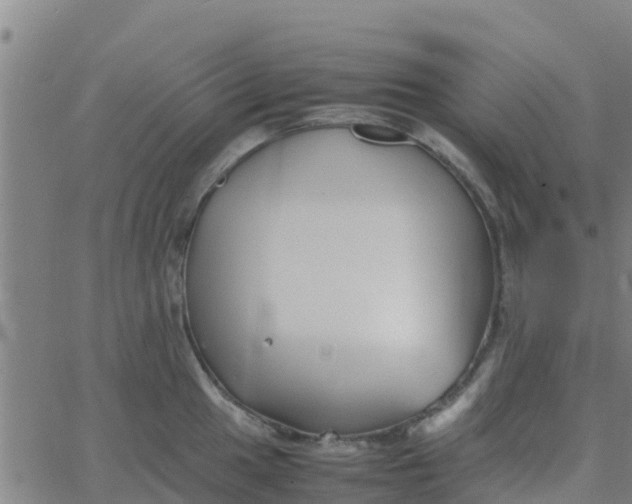 X0000066081049200603311930