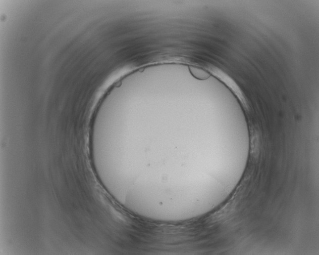 X0000066081051200603311930