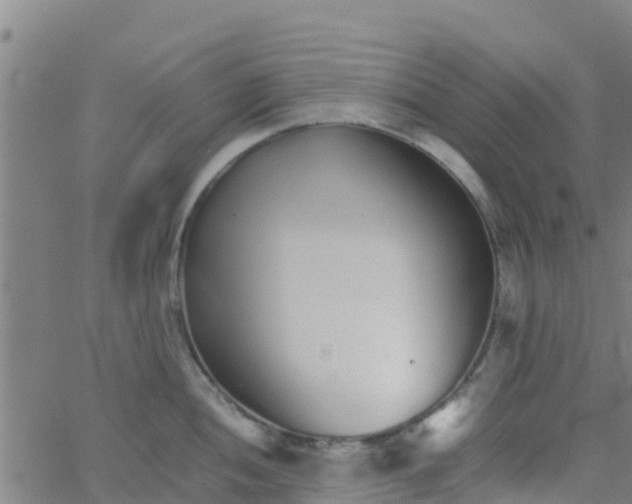 X0000066081052200603311930