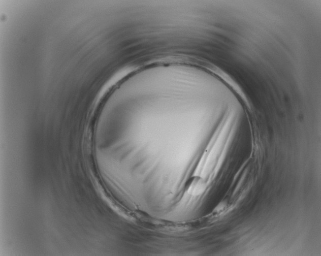 X0000066081053200603311930