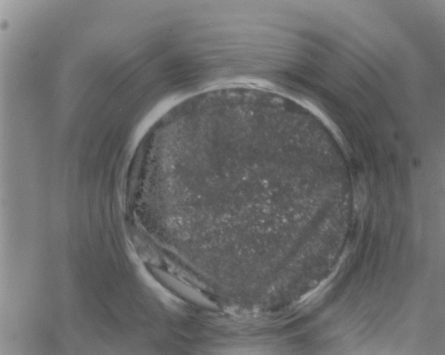 X0000066081054200603311930