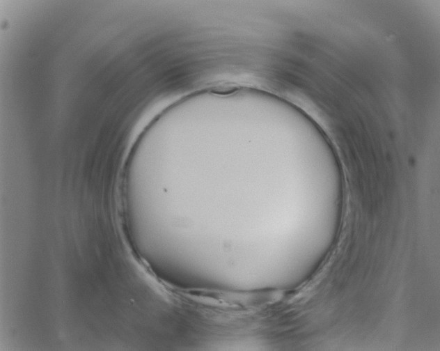 X0000066081056200603311930