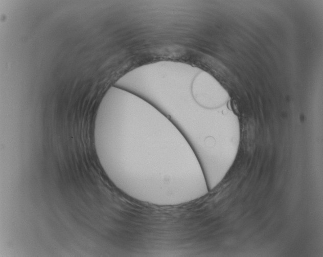 X0000066081058200603311929