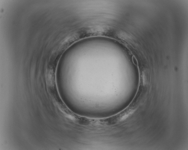 X0000066081059200603311929