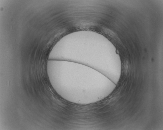 X0000066081060200603311929