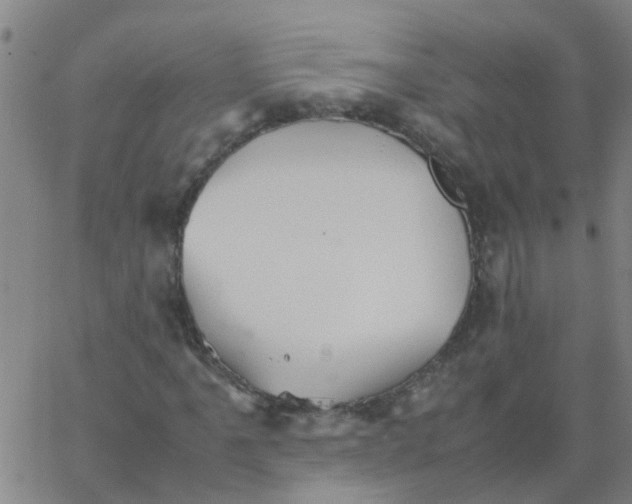 X0000066081061200603311929