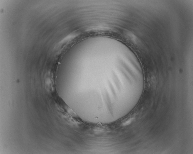 X0000066081062200603311929