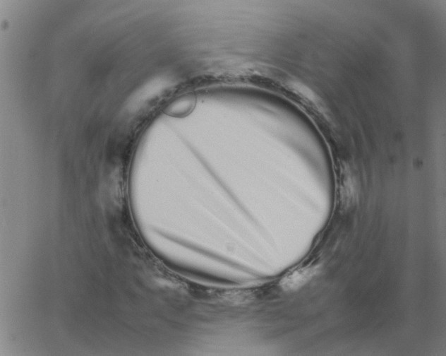 X0000066081063200603311929