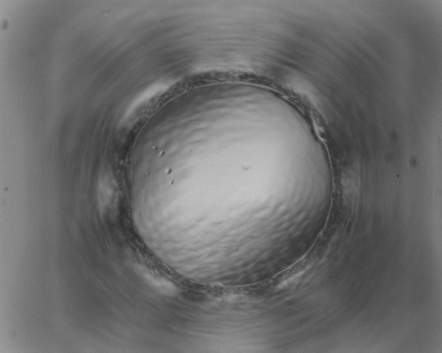 X0000066081064200603311929