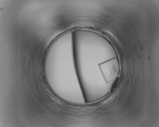 X0000066081065200603311929