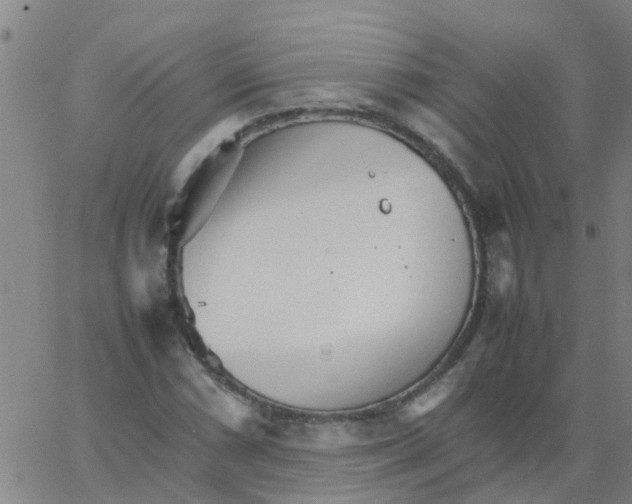 X0000066081066200603311929