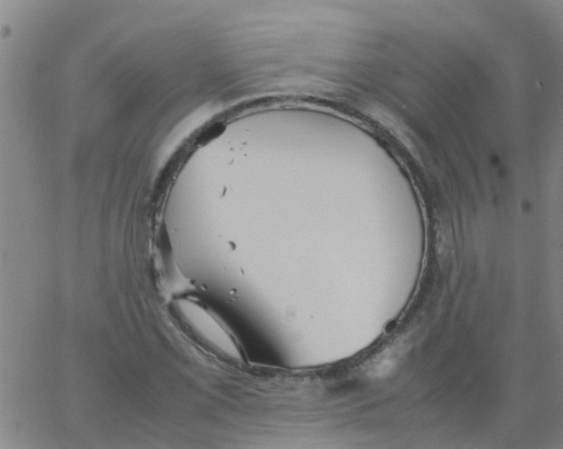 X0000066081069200603311929