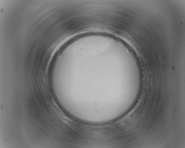 X0000066081070200603311929