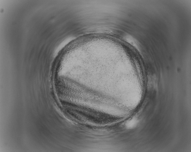 X0000066081071200603311929