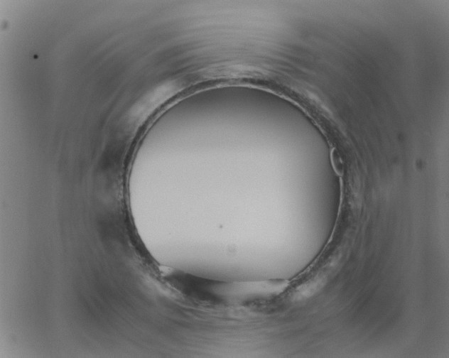 X0000066081073200603311929