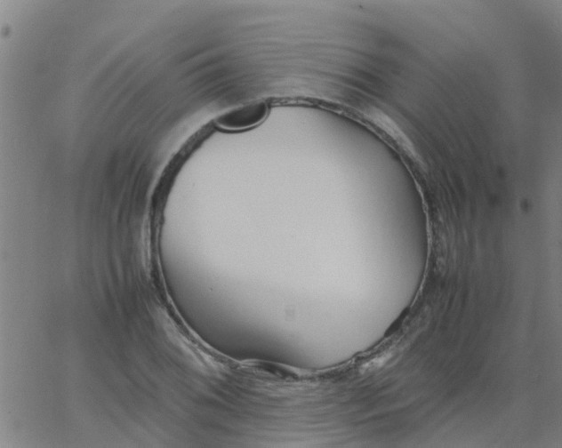 X0000066081076200603311929