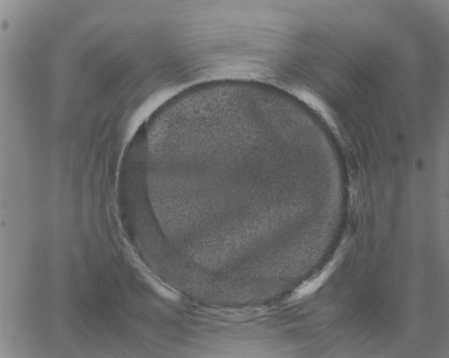 X0000066081077200603311929